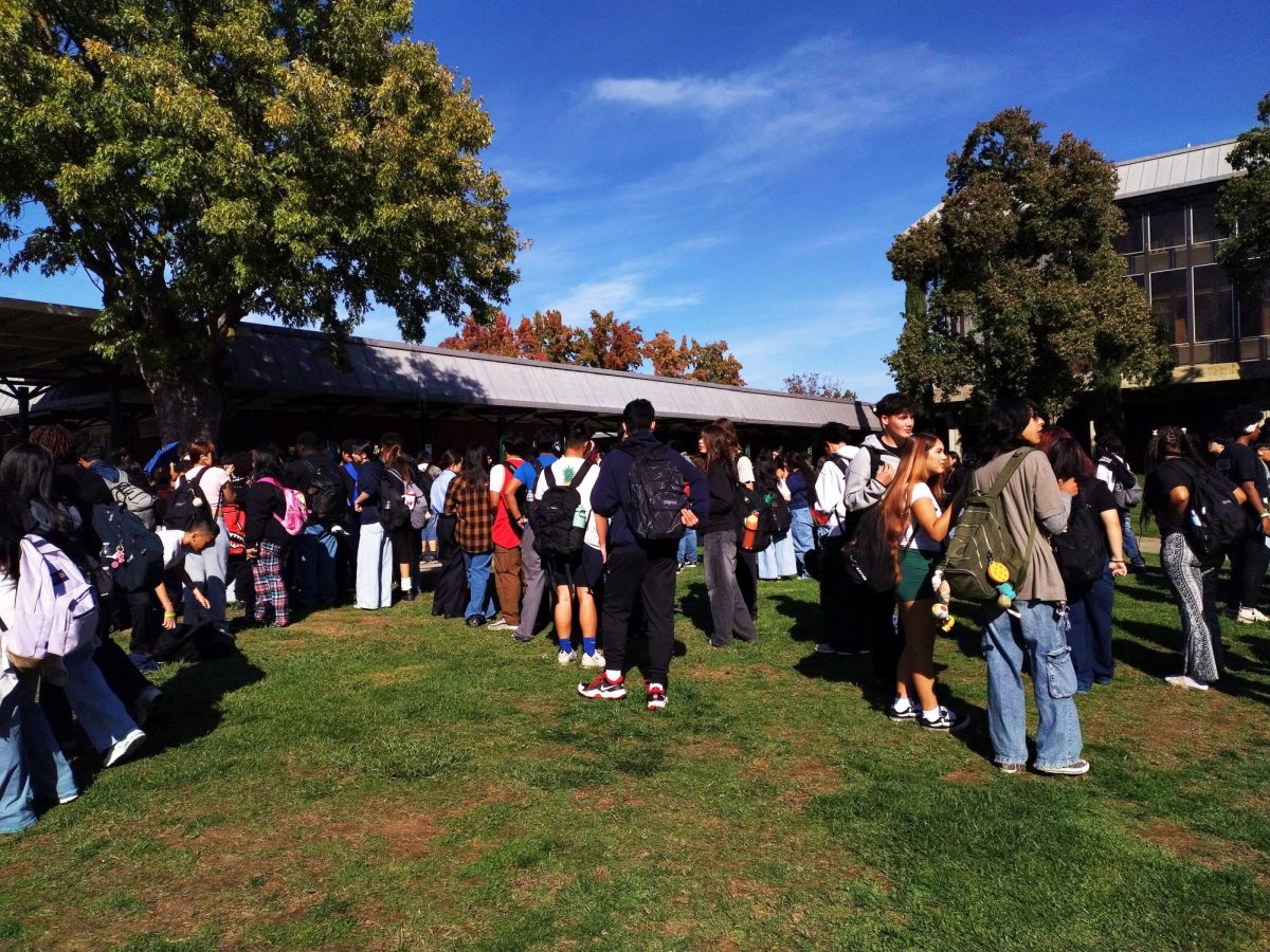 Kennedy Introduces Culture at Food Fair