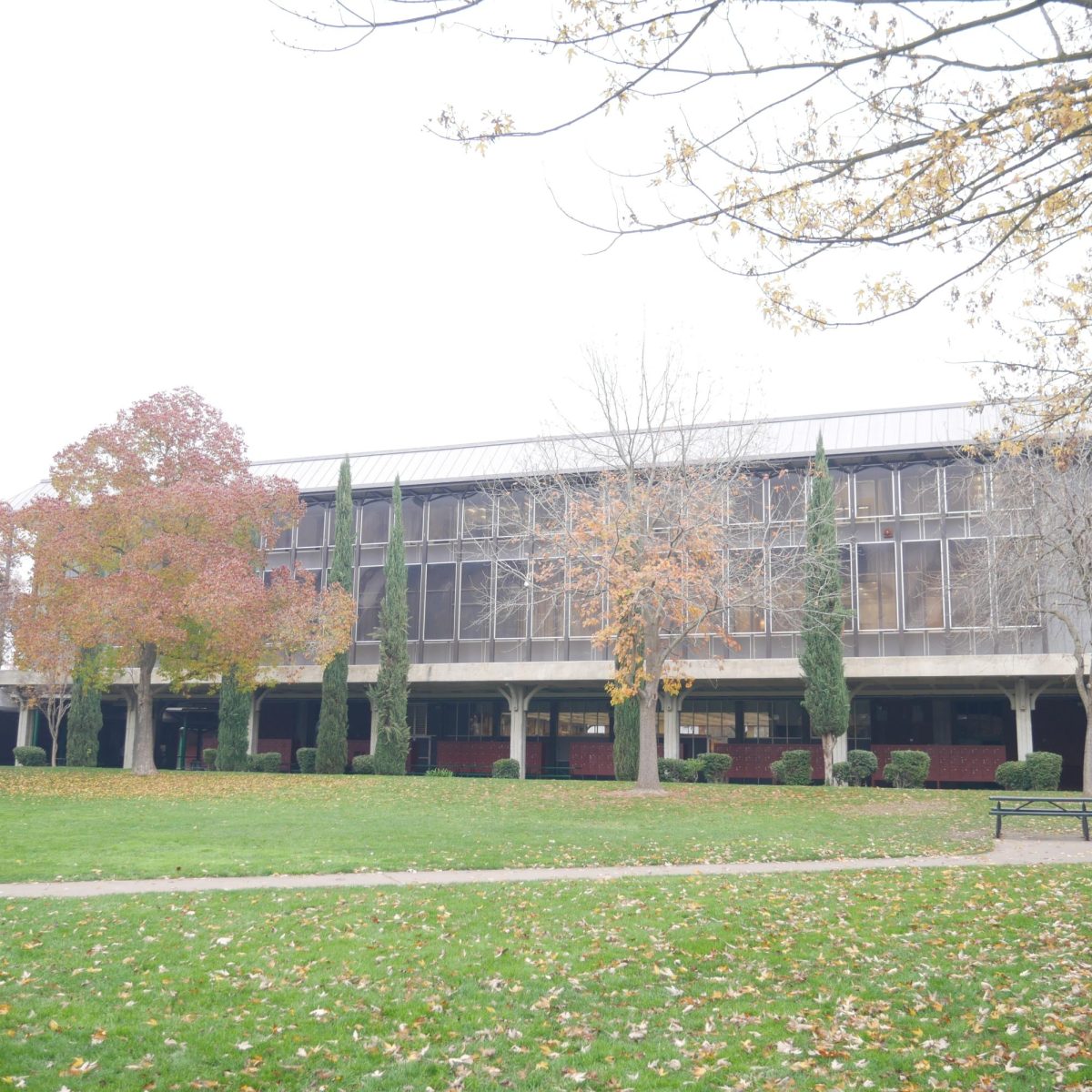 Left Side C Building