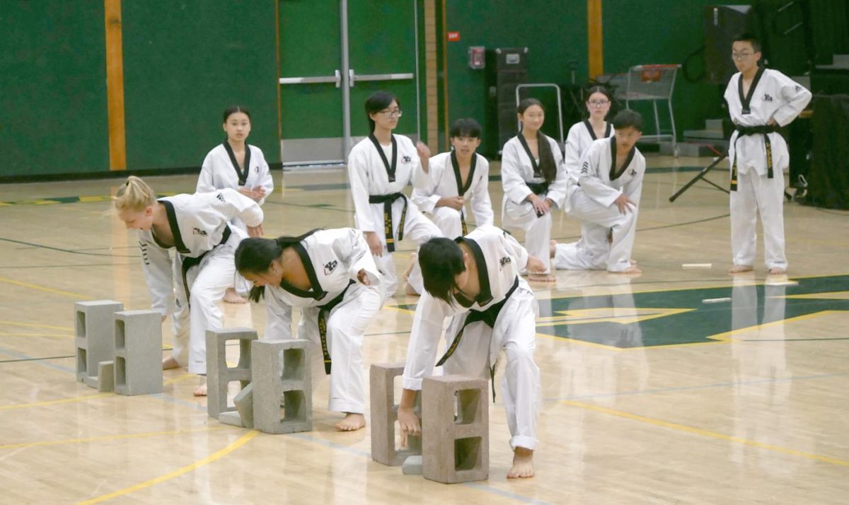 On Friday April 17, during Hmong Night in the big gym, performers show taekwondo students staging their hard work and skill, impressing the audience.
