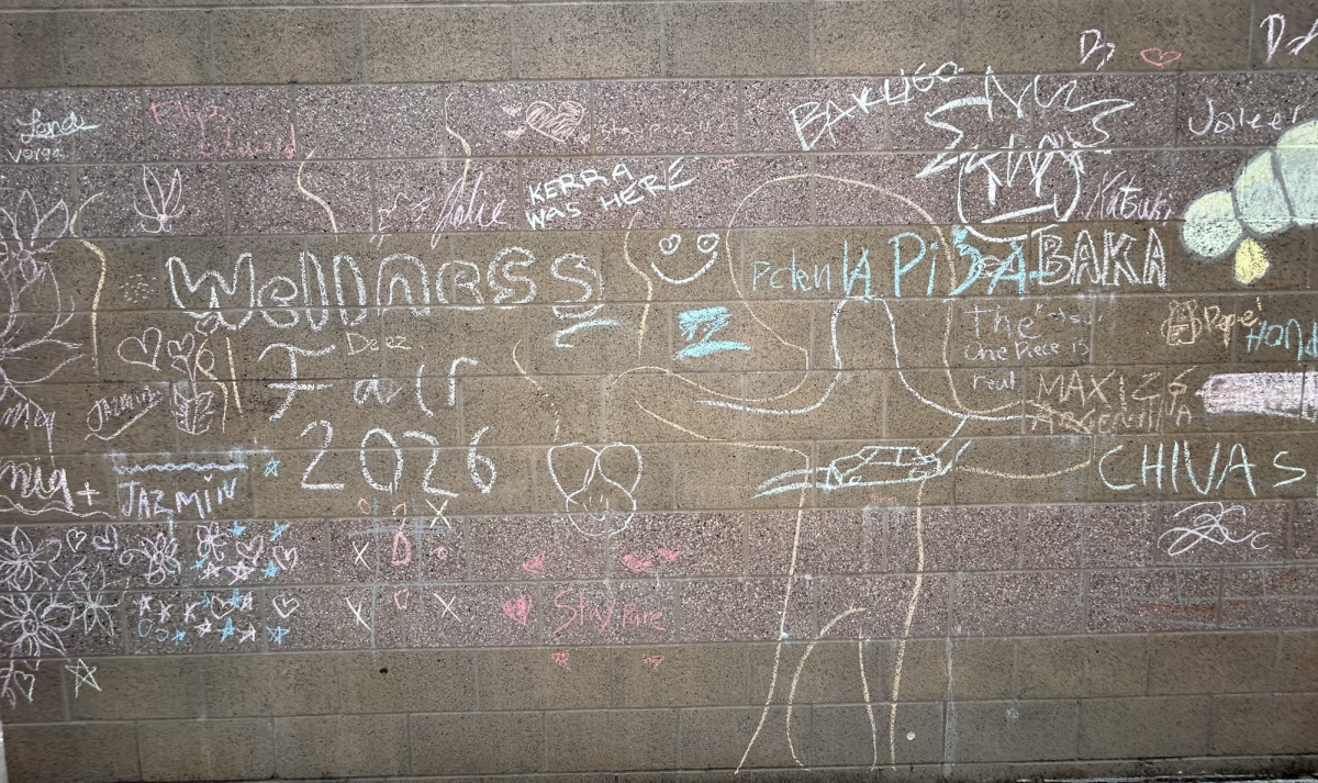 Multiple drawings by students at the Wellness Fair on May 27. The drawings were made with chalk which was out for students to use.
